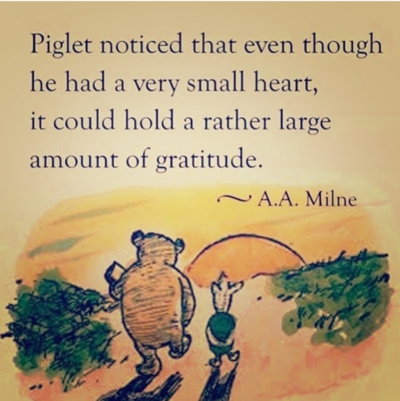 Express Cashmere Sweater   1/4  Zip
    UniSex  Sz Lg EPLC - Picture 3 of 16